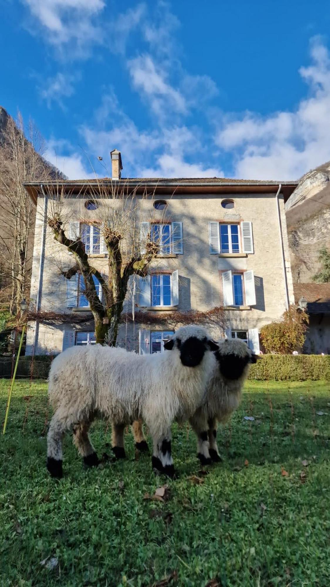 Chateau Monts Blancs Lumbin Esterno foto